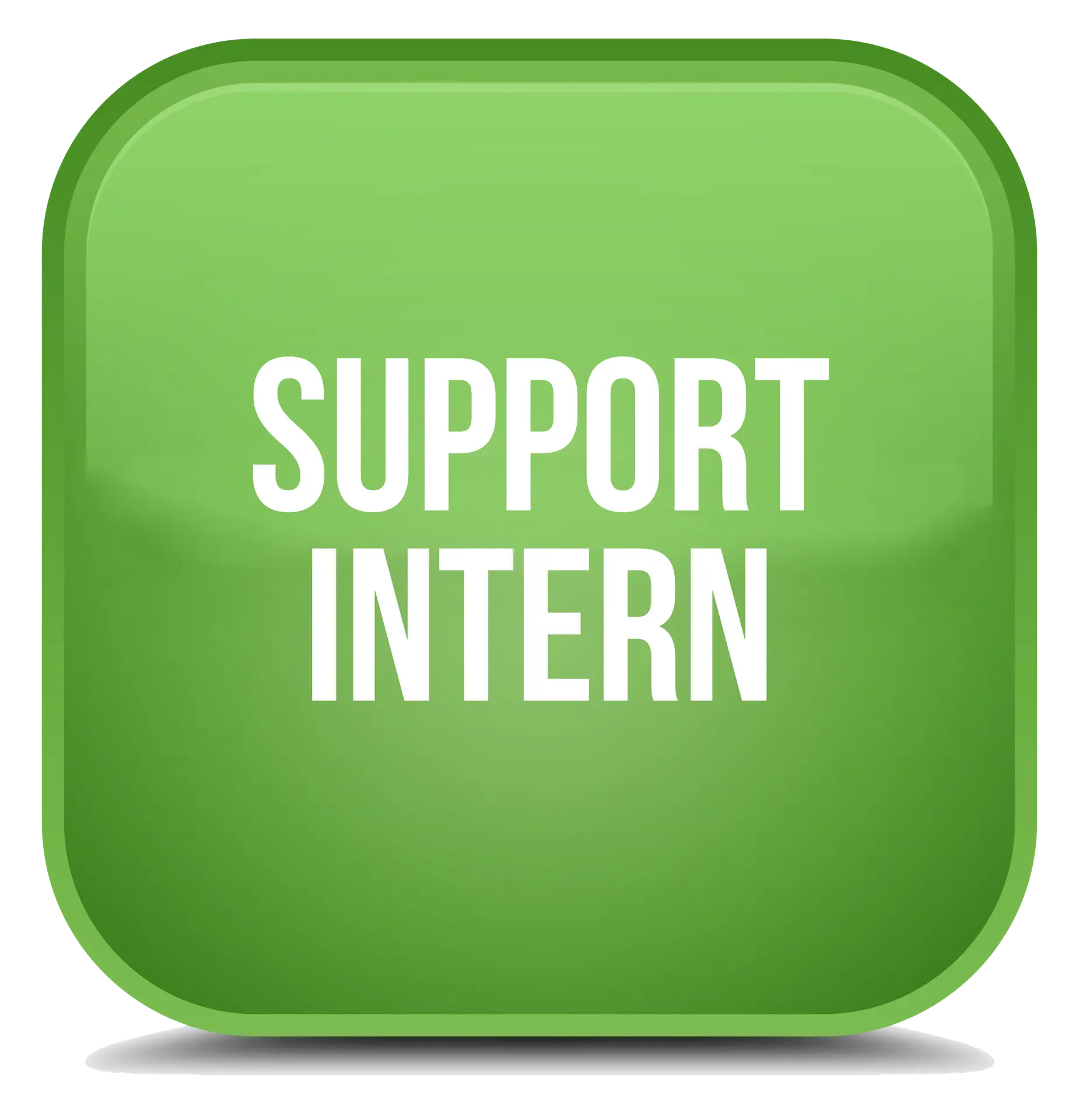 Green button for IT Support Intern position.